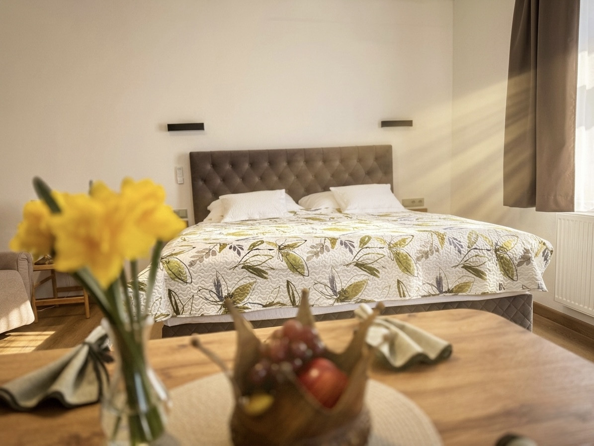 apartment QUEEN Villa Harmony (9)