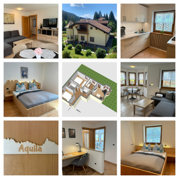 Aquila collage