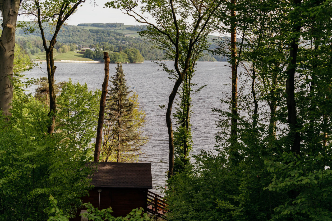 9. PG101361 Wiesiółka na zewnątrz