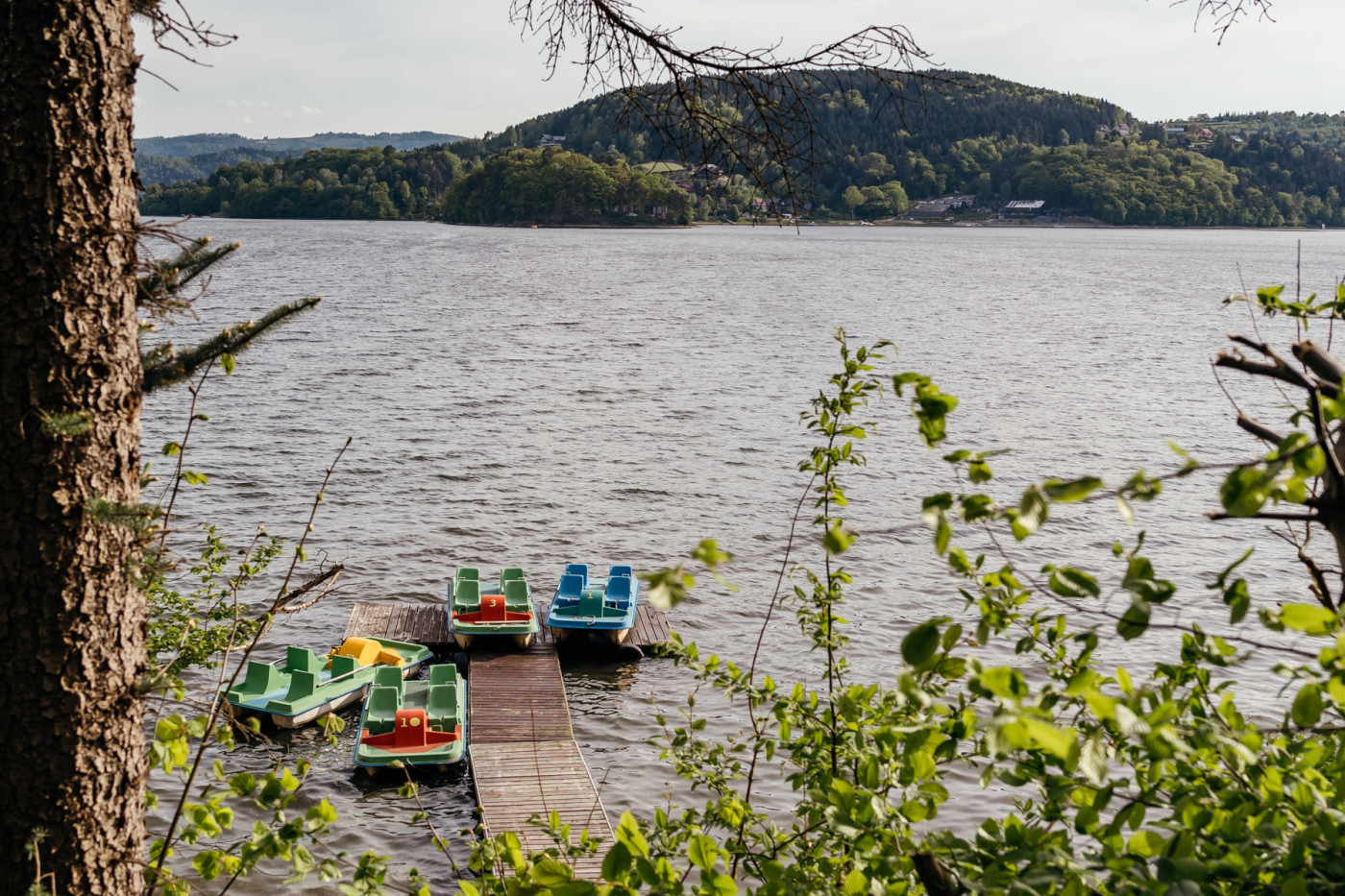 9. PG101364 Wiesiółka na zewnątrz