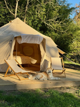 Glamping