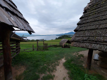 havranok